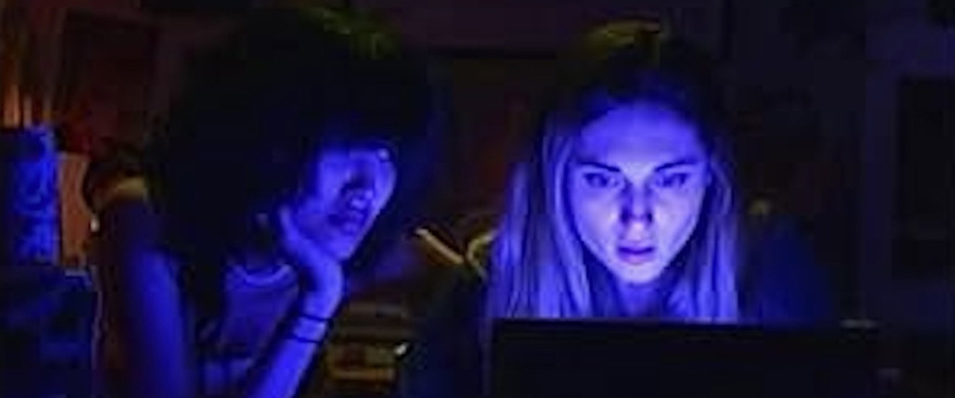 City Wide Fever's banner image