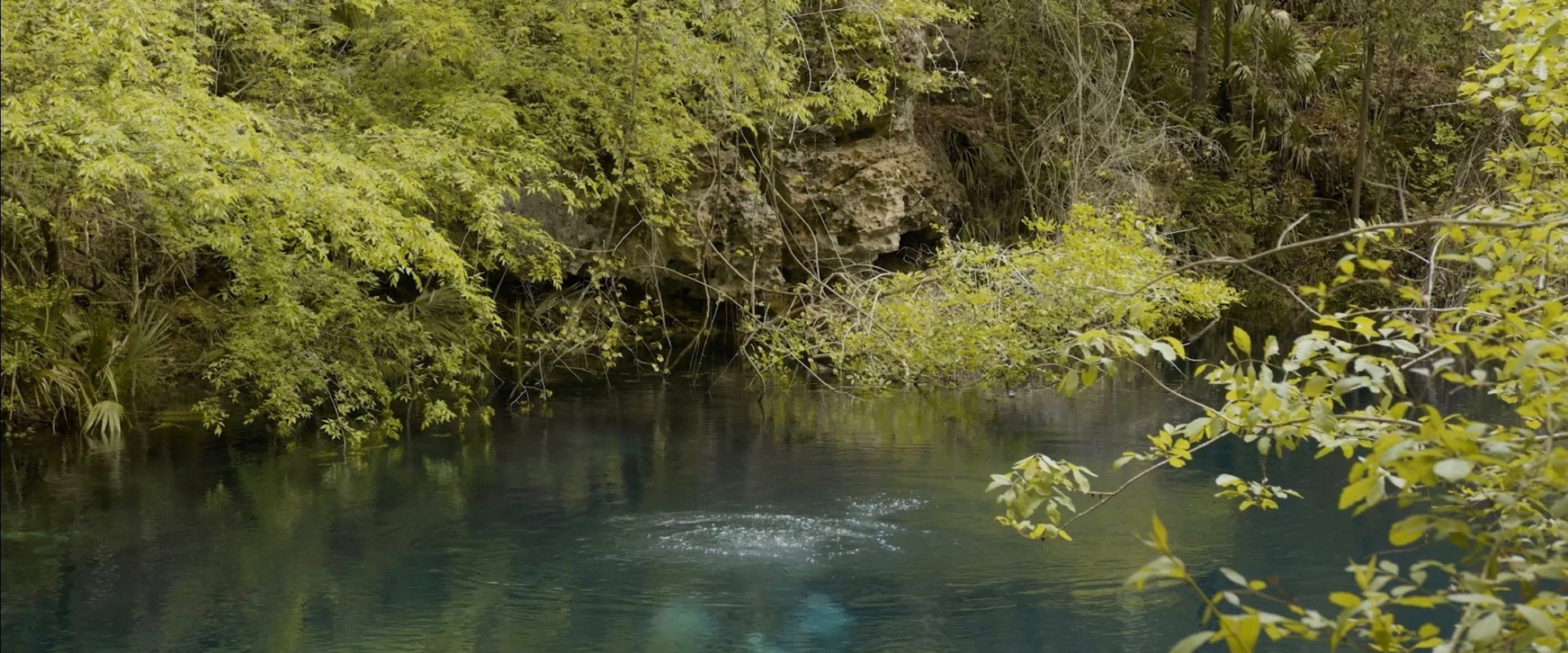 Cave Diving