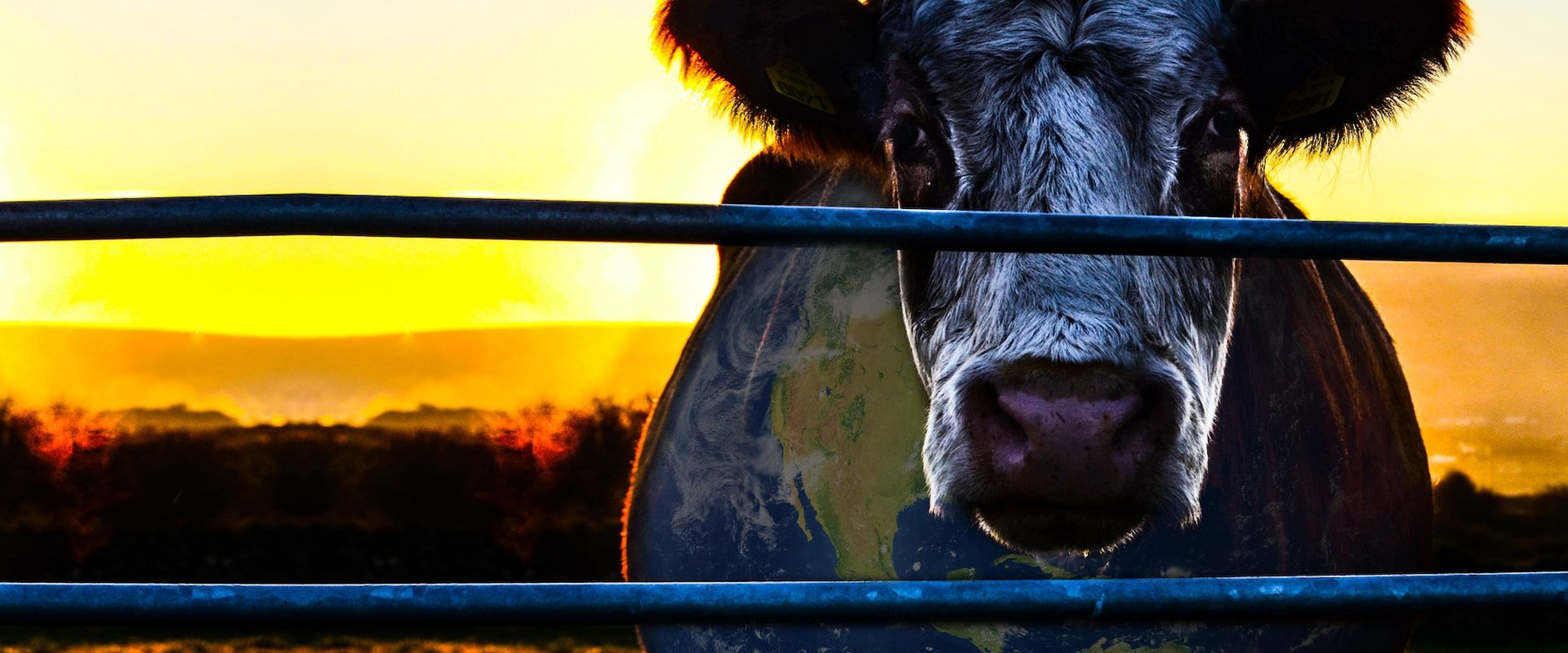 Cowspiracy: The Sustainability Secret