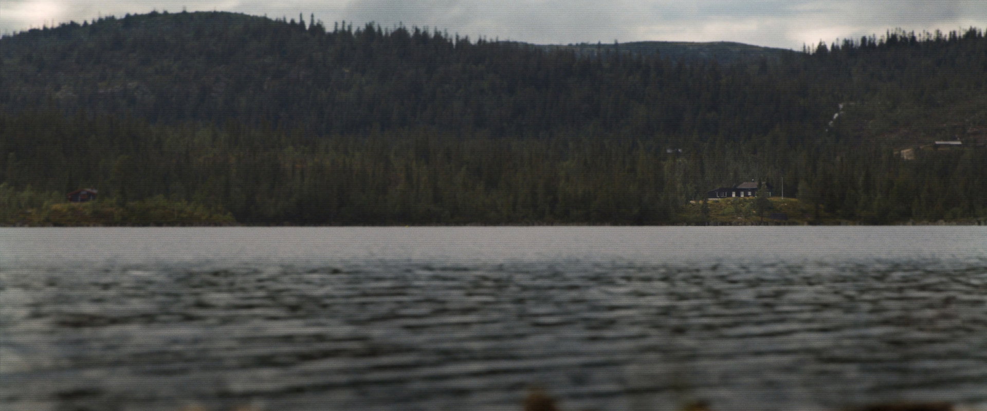 Lake Sunshine 1989's banner image