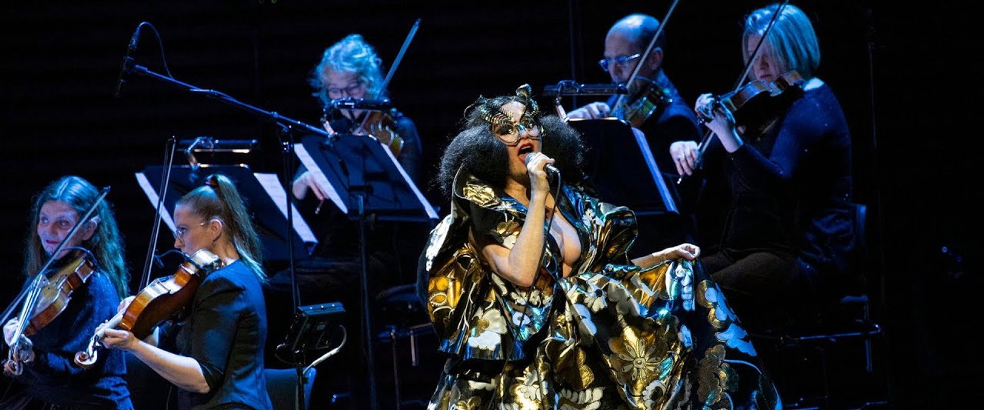 Björk Orkestral's banner image