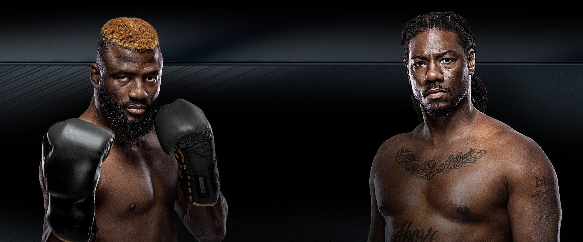 Zuffa Boxing 03