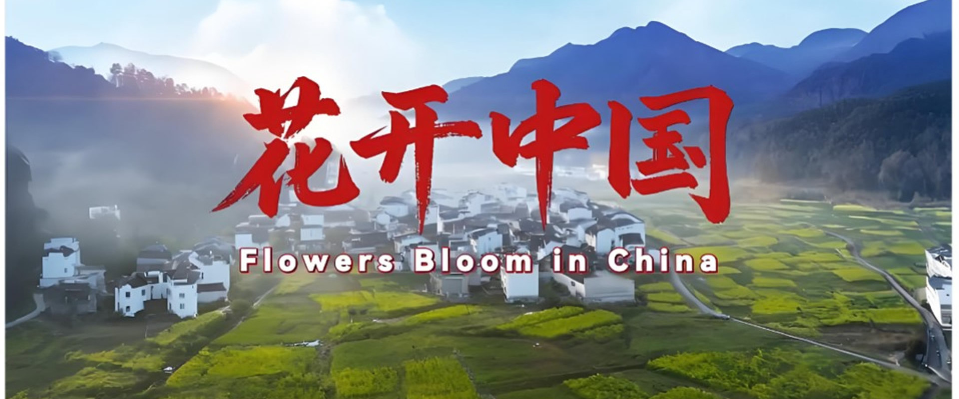 花开中国's banner image