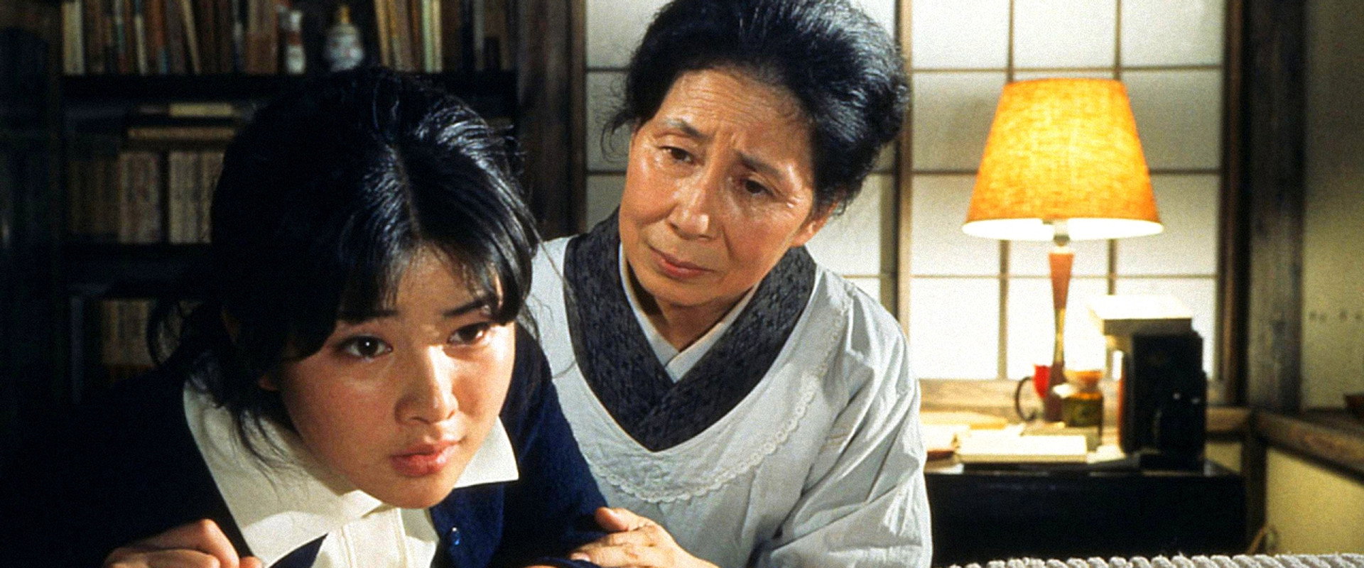 The Swan Elegy's banner image