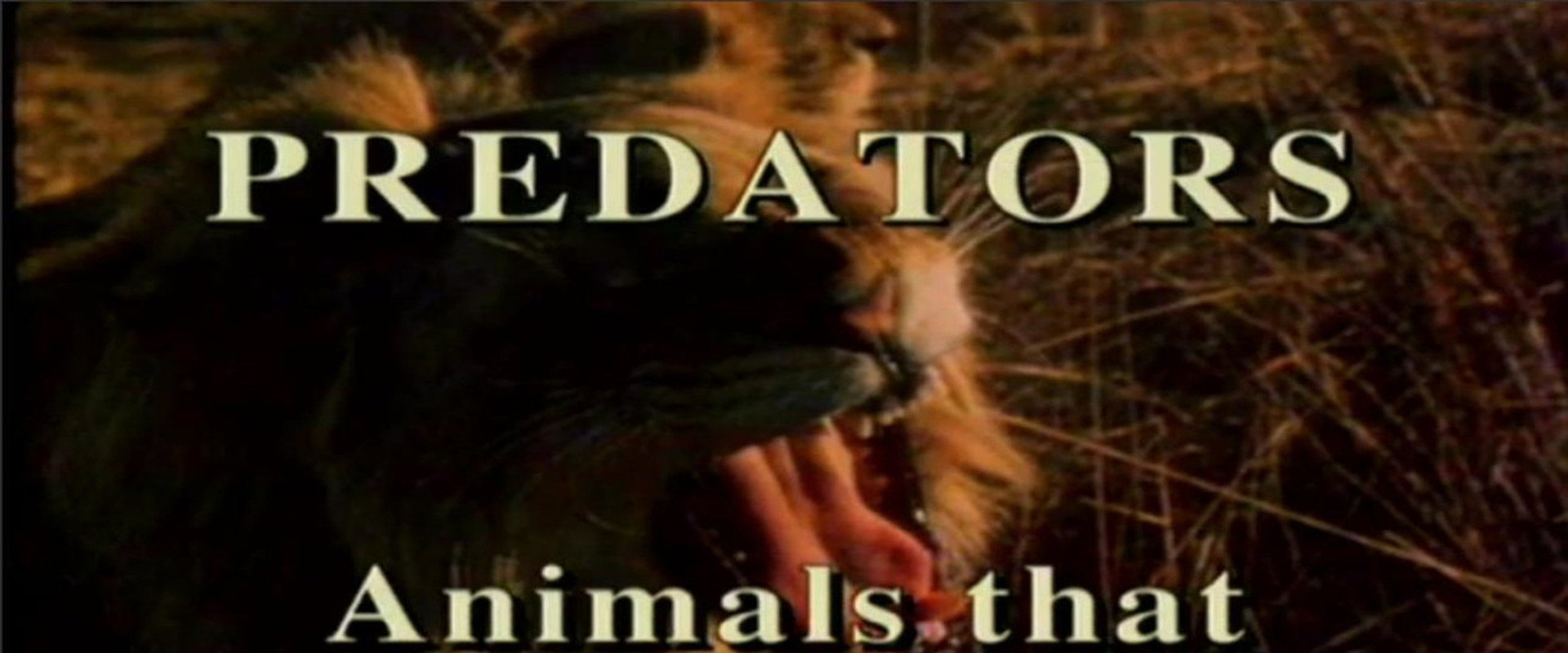 Predators of the Animal World