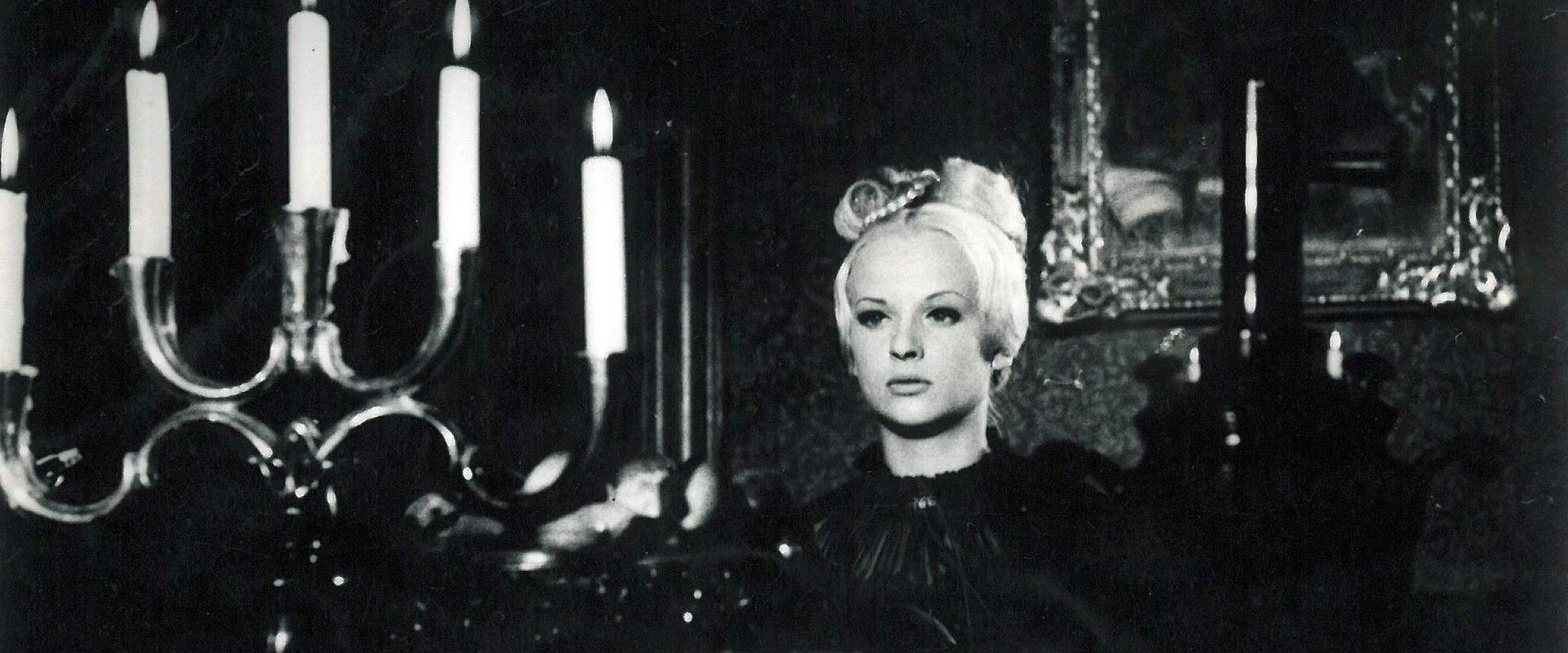 Natali's banner image