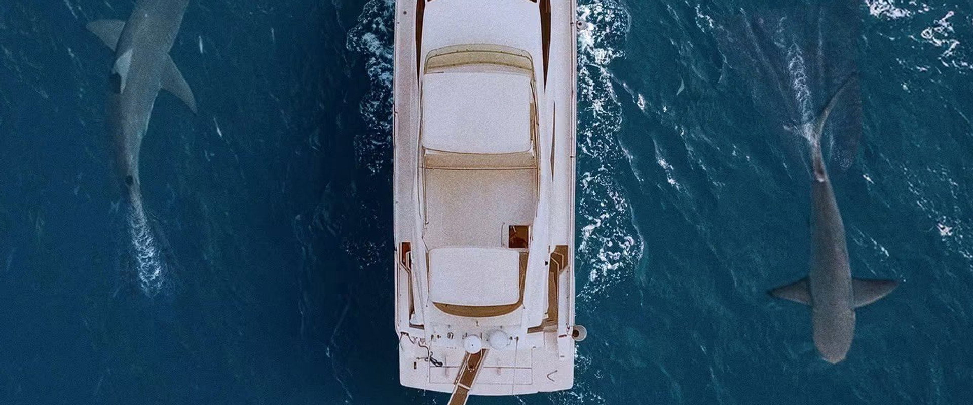 Above & Below