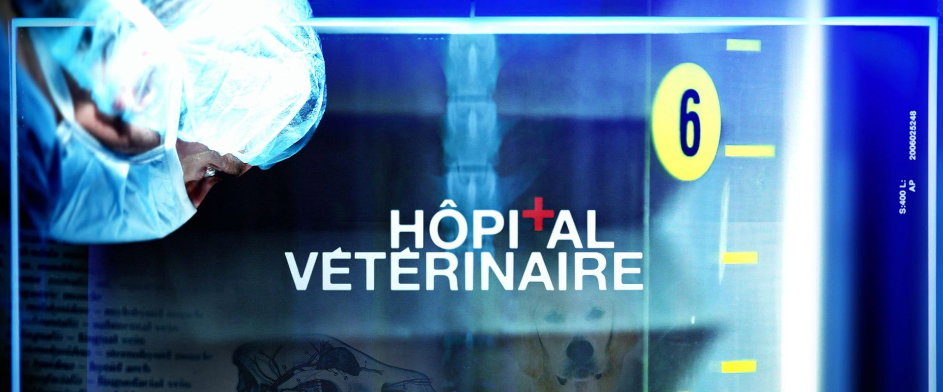 Hôpital vétérinaire
