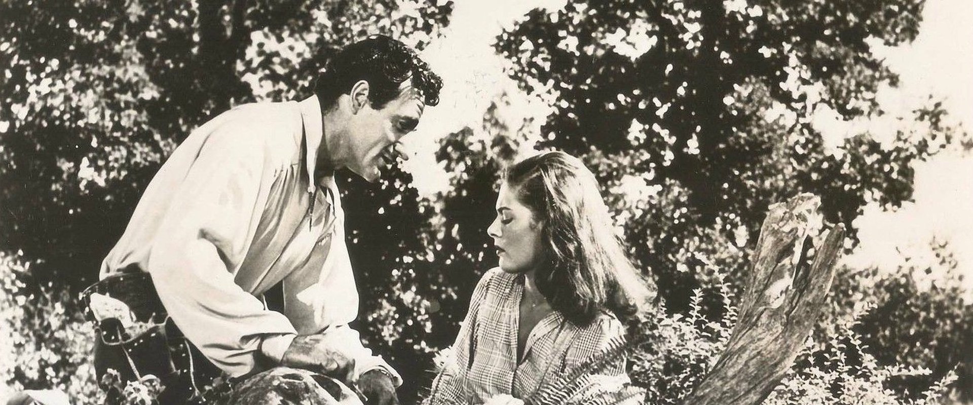 Beauty and the Bandit