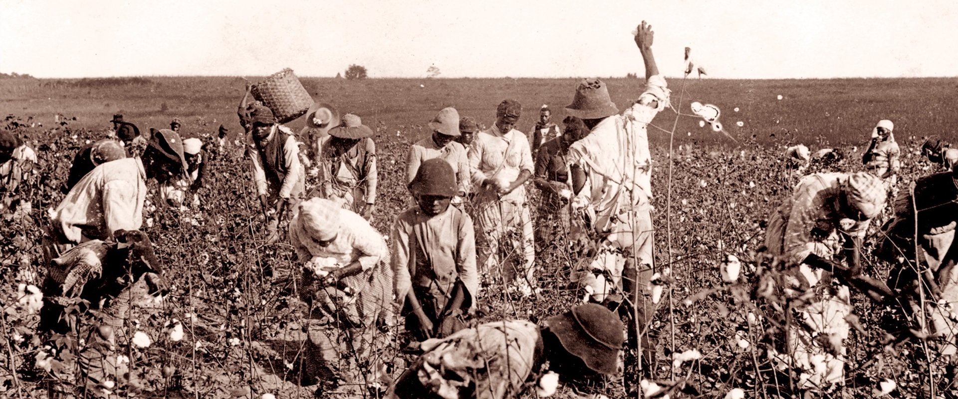 Slavery and the Making of America