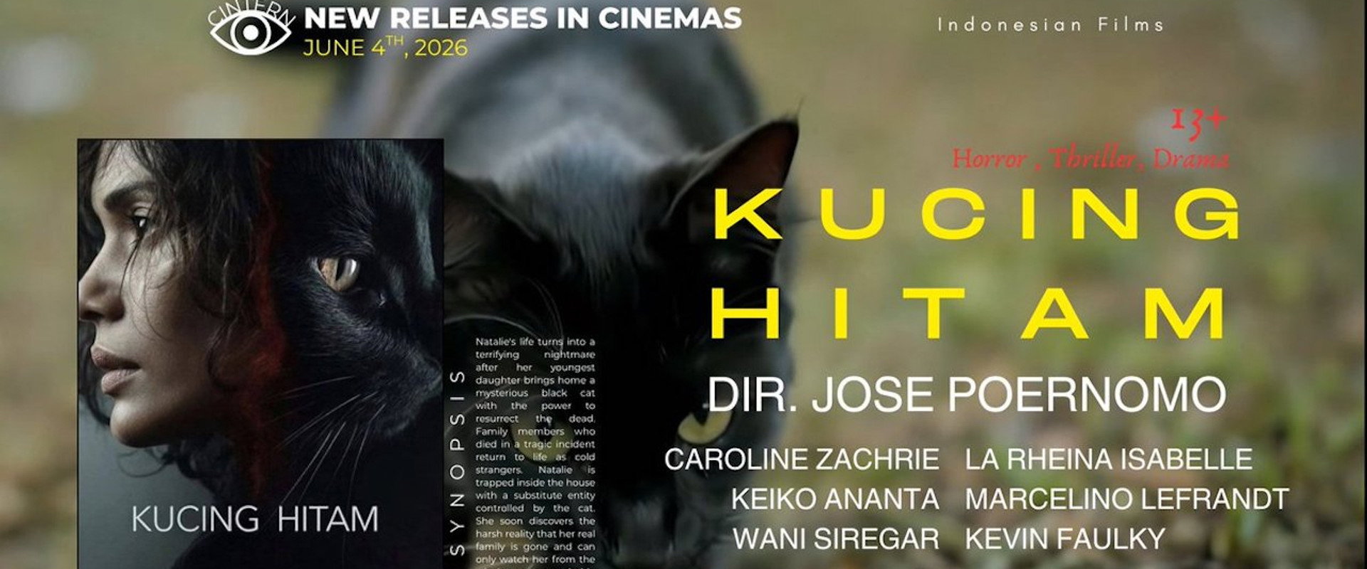 Kucing Hitam's banner image