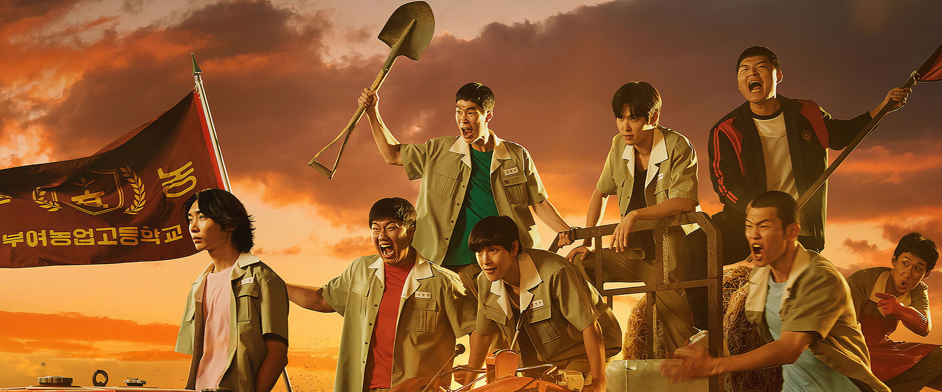 Boyhood's banner image