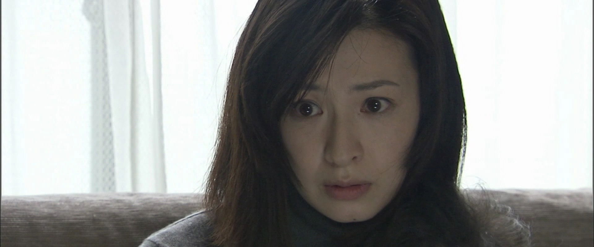 The Cicada's Eighth Day's banner image