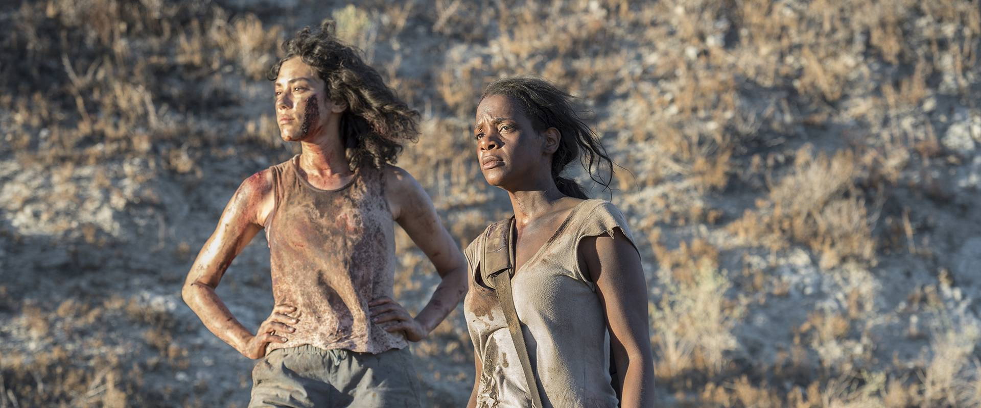 行尸之惧：通道