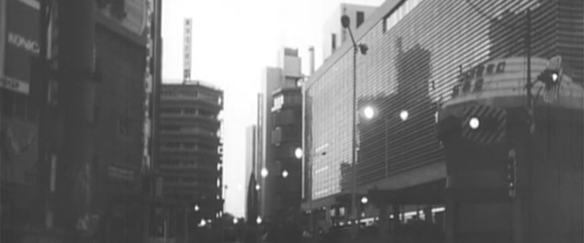 Violence Without a Cause's banner image