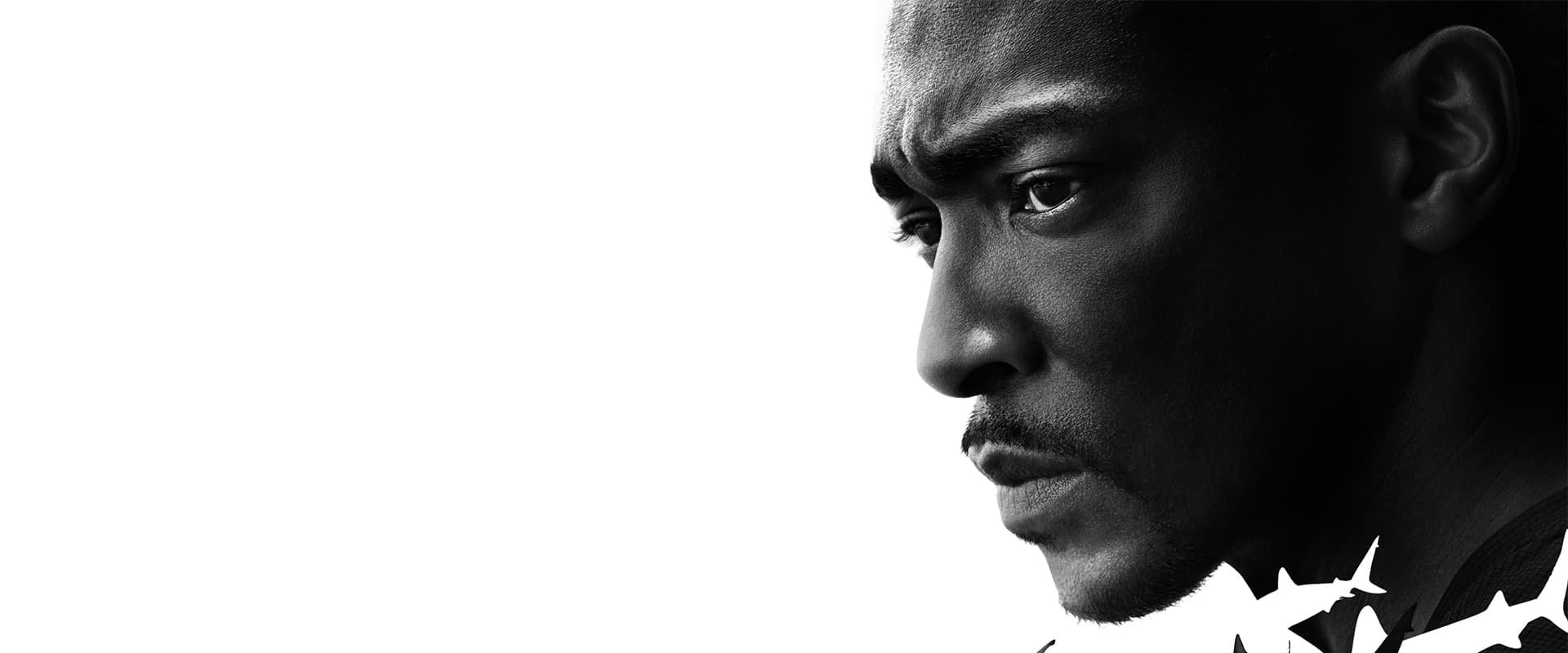 Shark Beach with Anthony Mackie