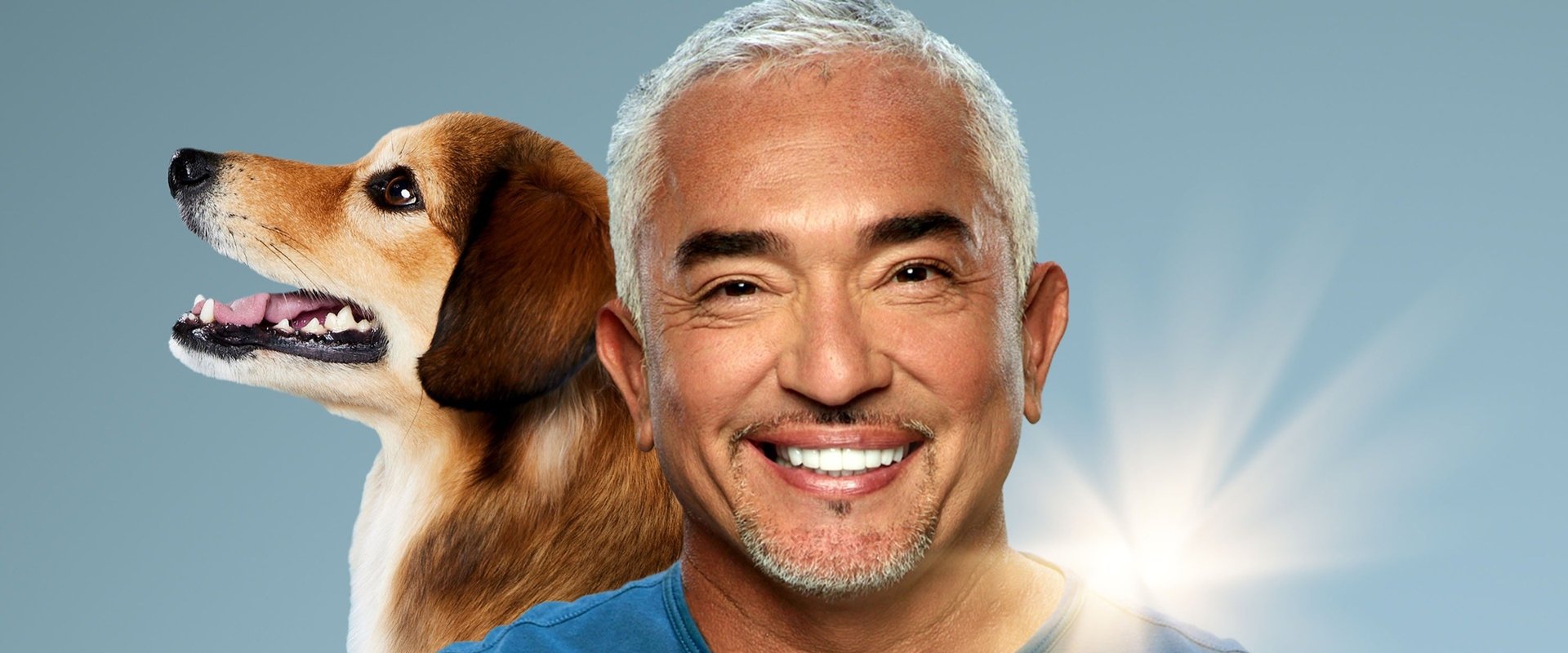 Cesar Millan: Better Human, Better Dog