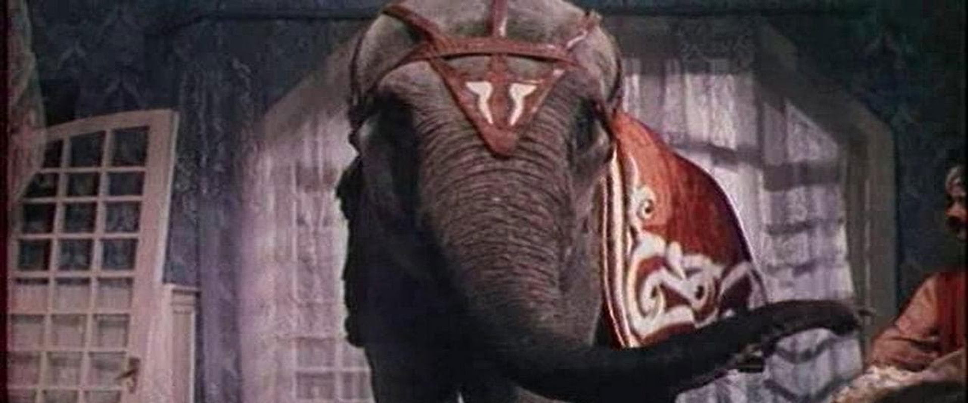 And Then Came Bumbo...'s banner image