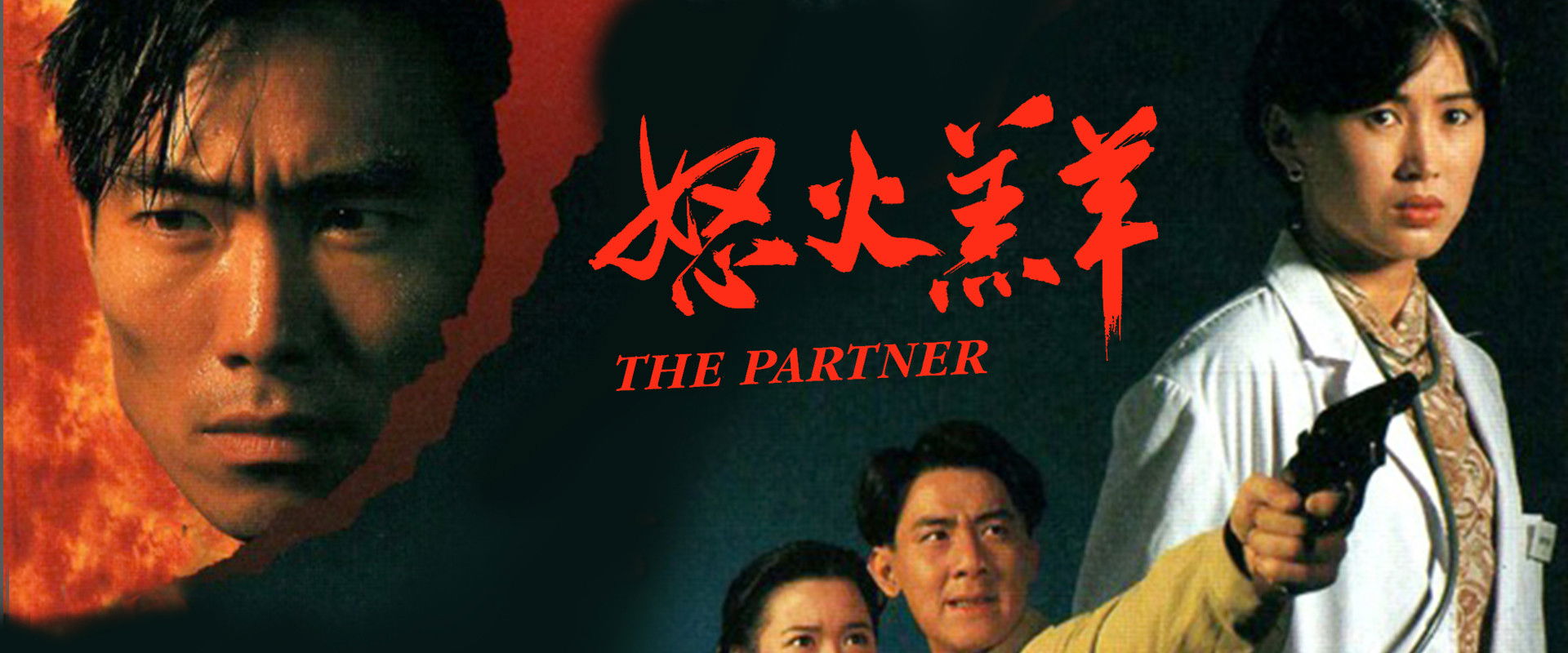 The Partner's banner image