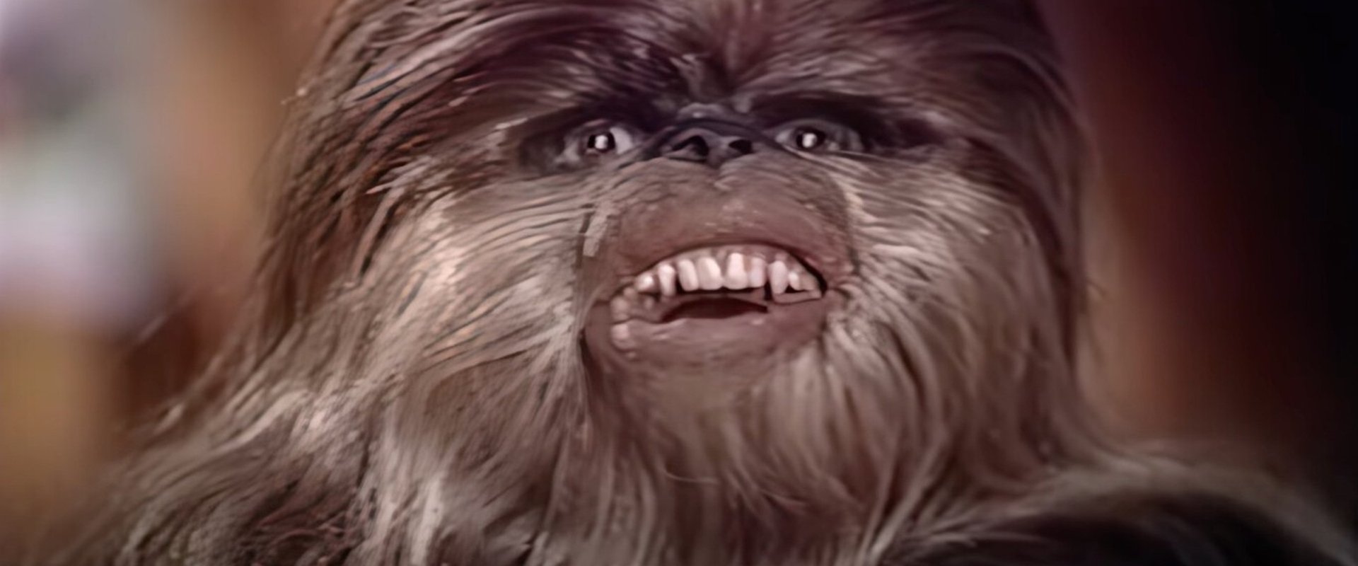 The Star Wars Holiday Special