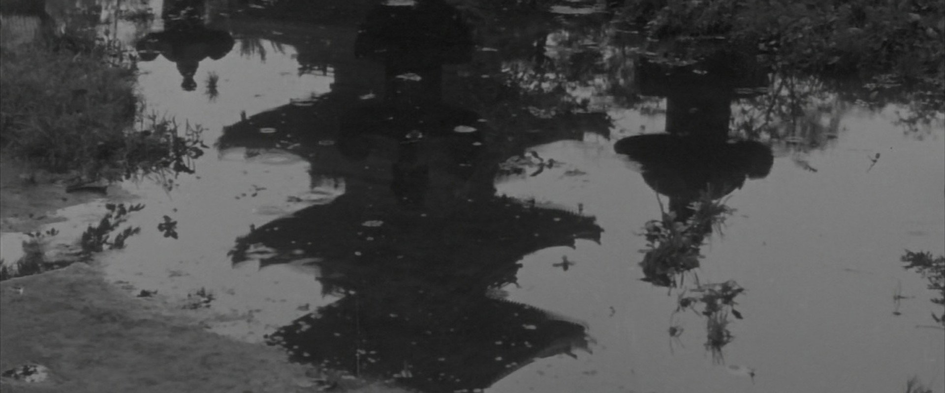 The Wild Geese's banner image