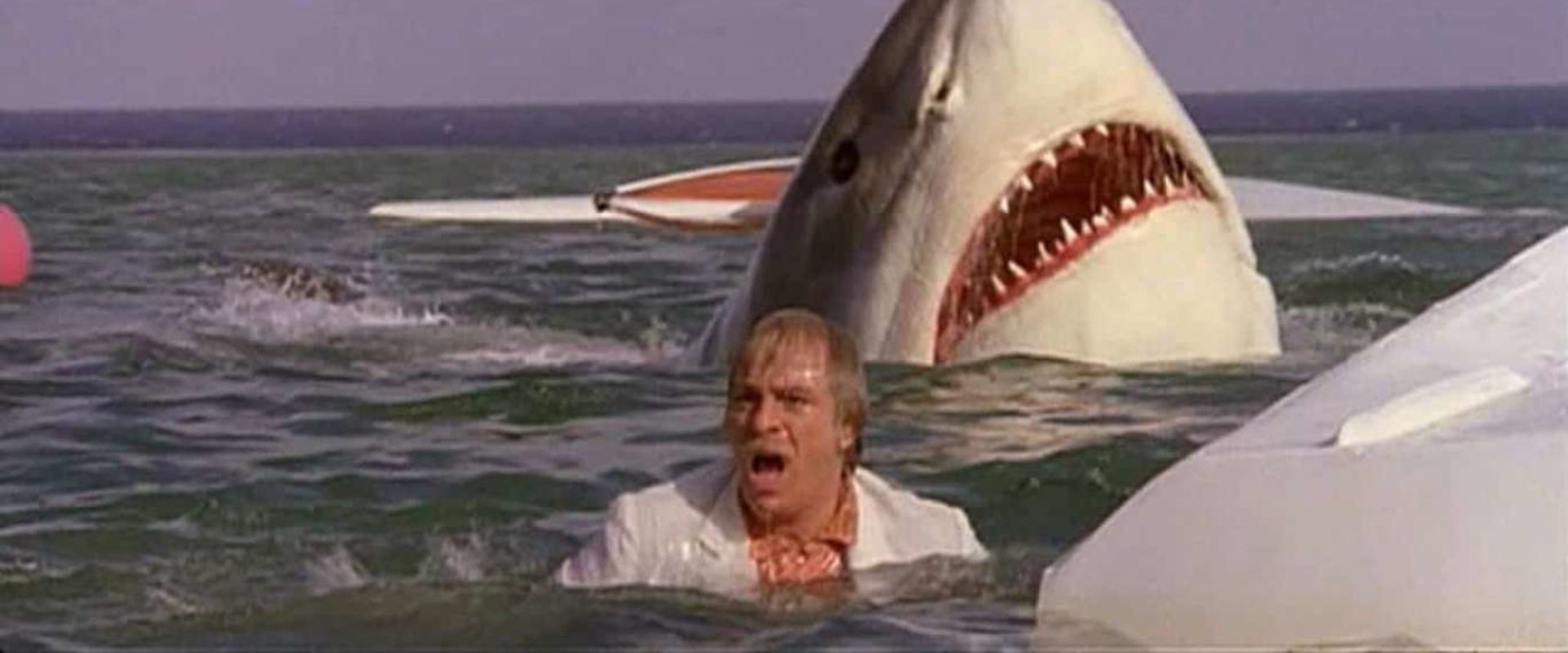 The Last Shark