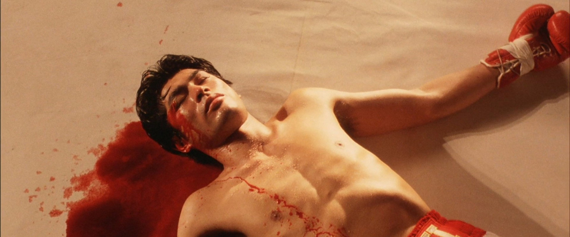 Knockout's banner image