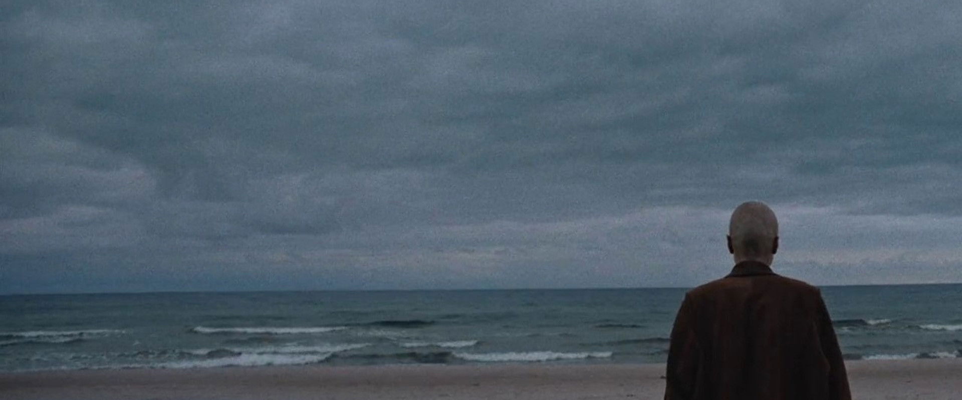 First Last Summer's banner image