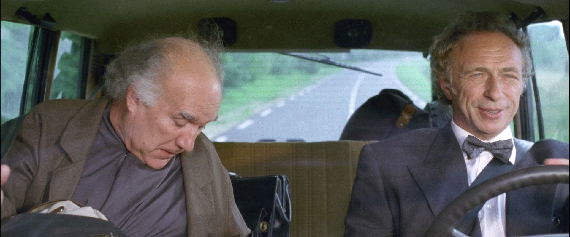 Loonies at Large's banner image