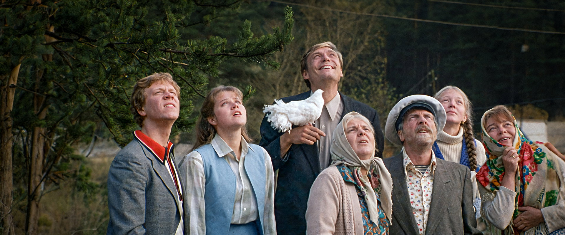 Love and Pigeons's banner image