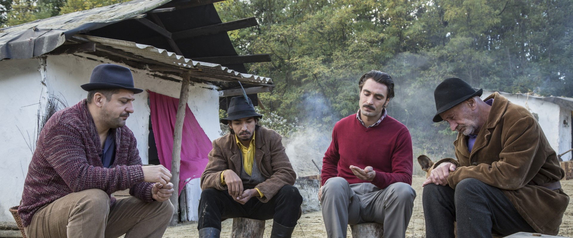 Csandra szekere's banner image