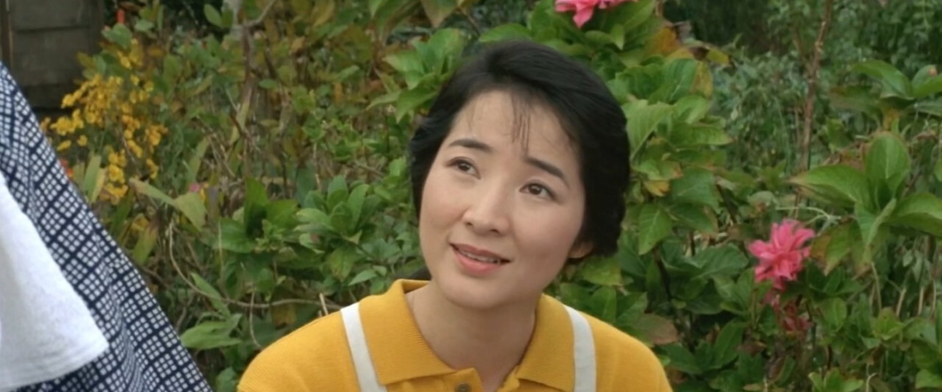 Tora-san, My Uncle