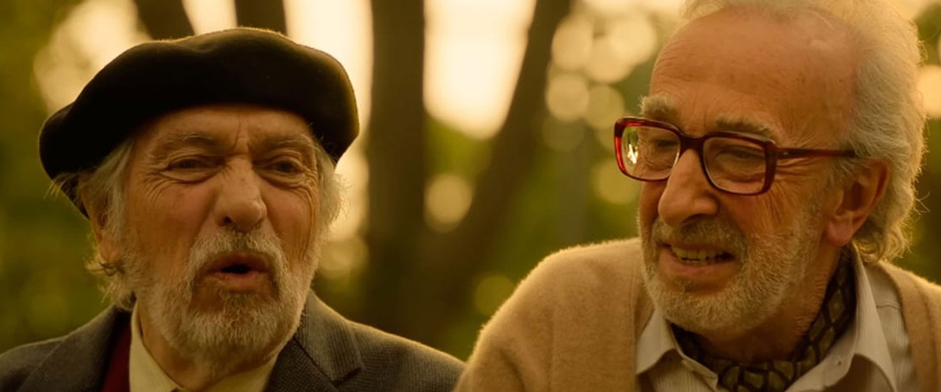 Strangers in the Park's banner image