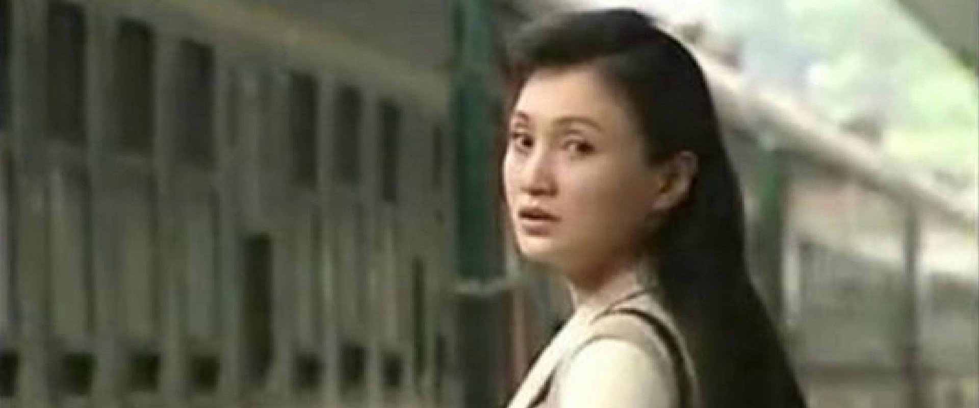 家里家外's banner image