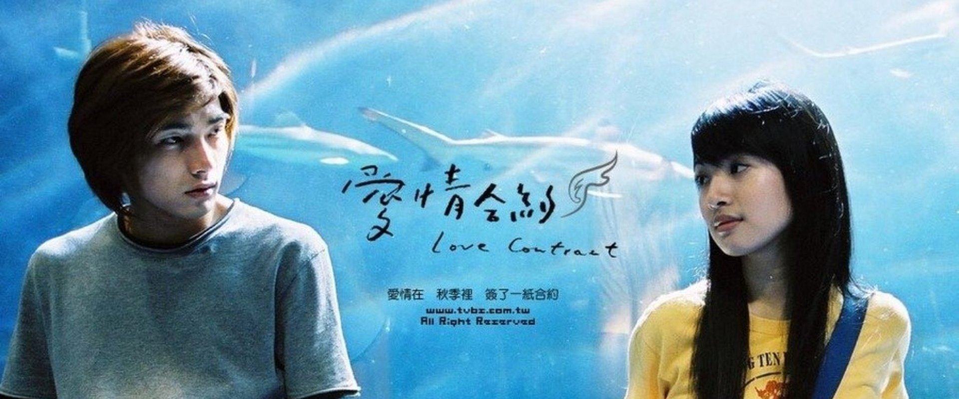 Love Contract