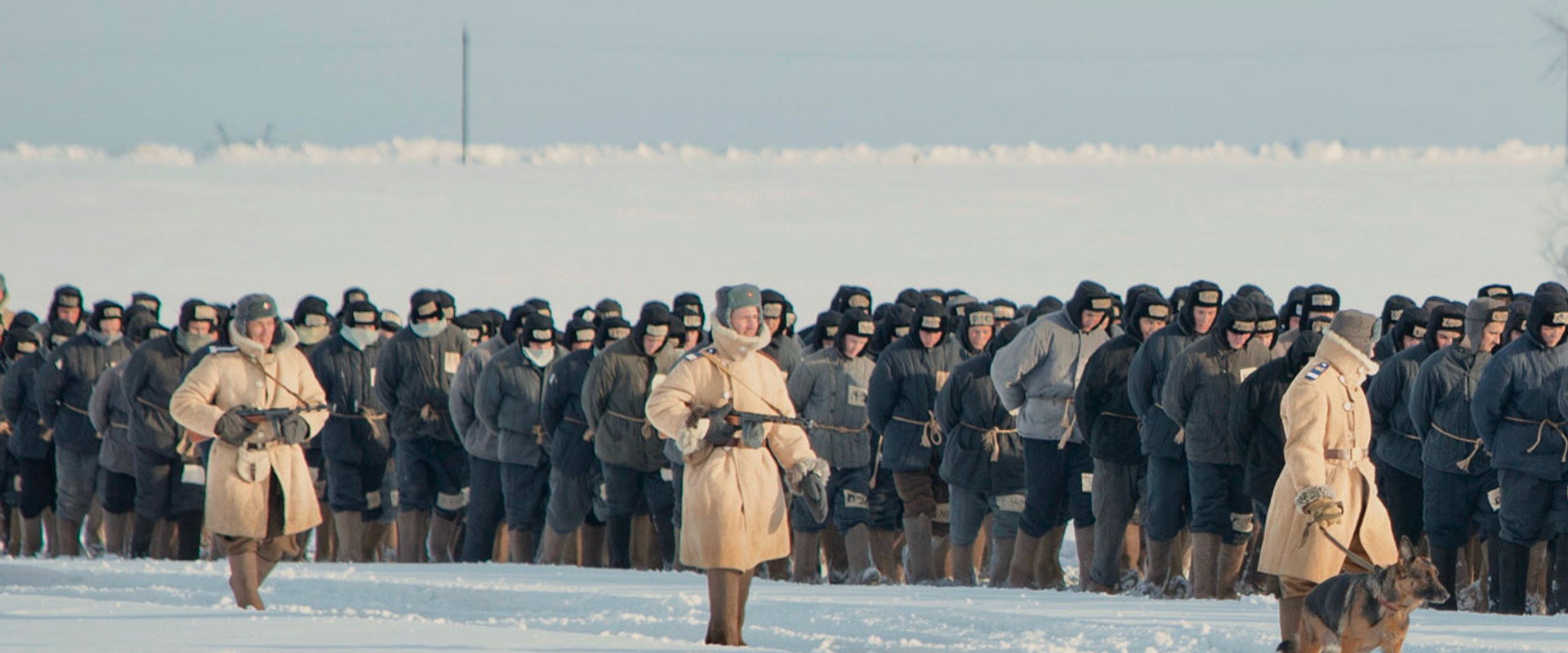 伊万·杰尼索维奇