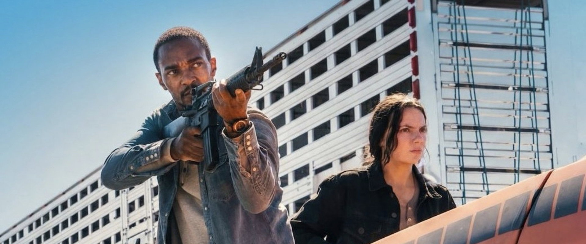 Barracuda's banner image