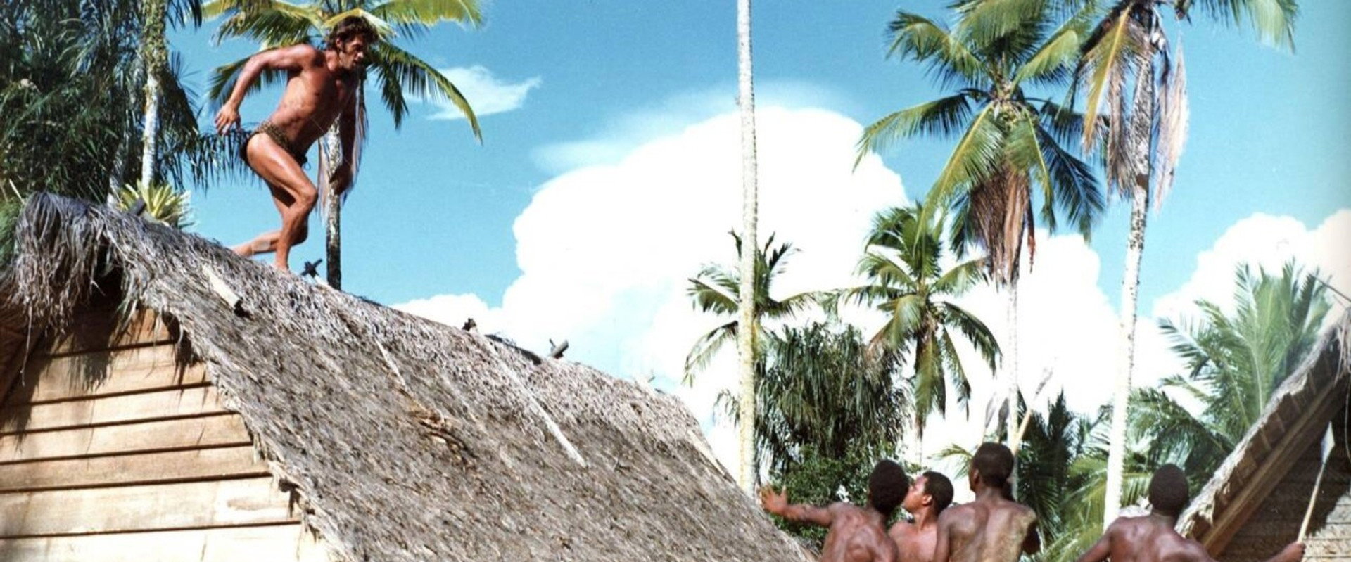 Tarzan in the Golden Grotto's banner image