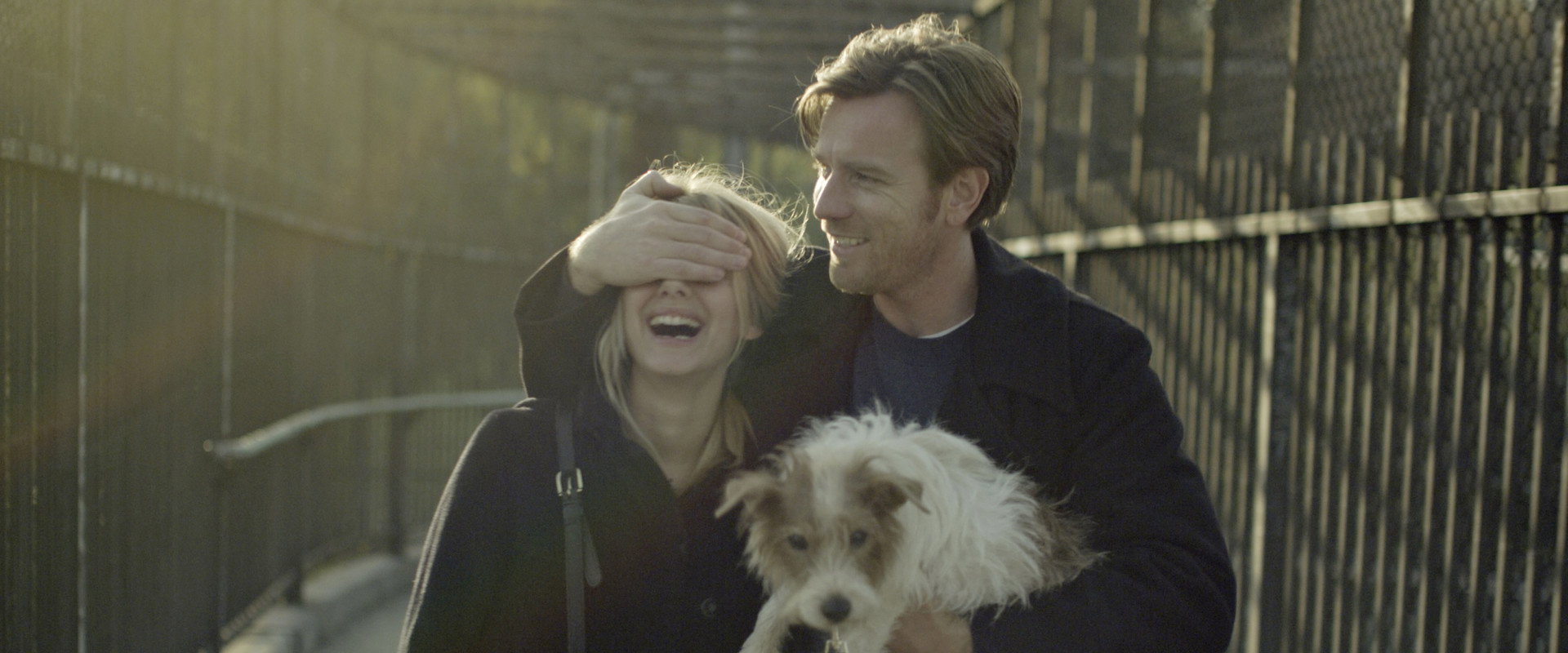 Beginners's banner image