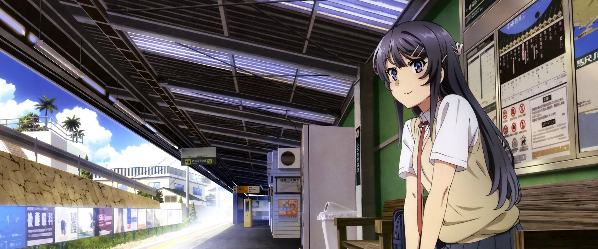 Rascal Does Not Dream of Bunny Girl Senpai