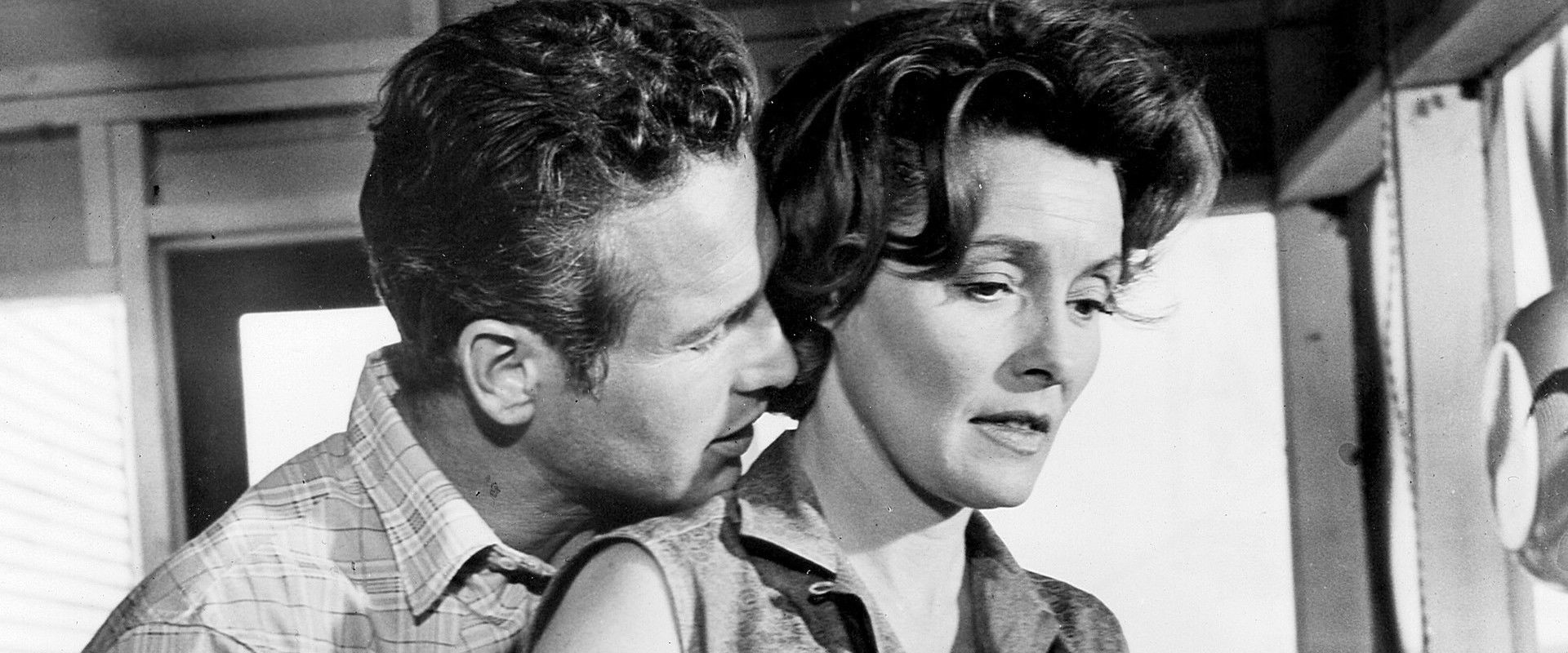 Der Wildeste unter Tausend