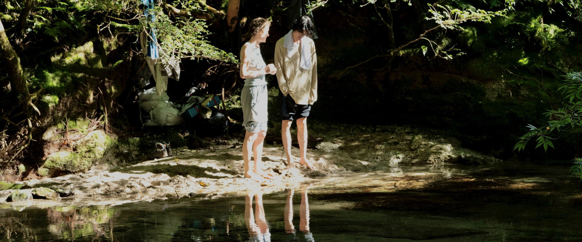 Yakushima's Illusion's banner image