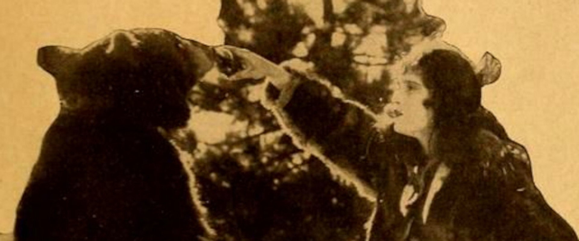 The Courage of Marge O'Doone's banner image