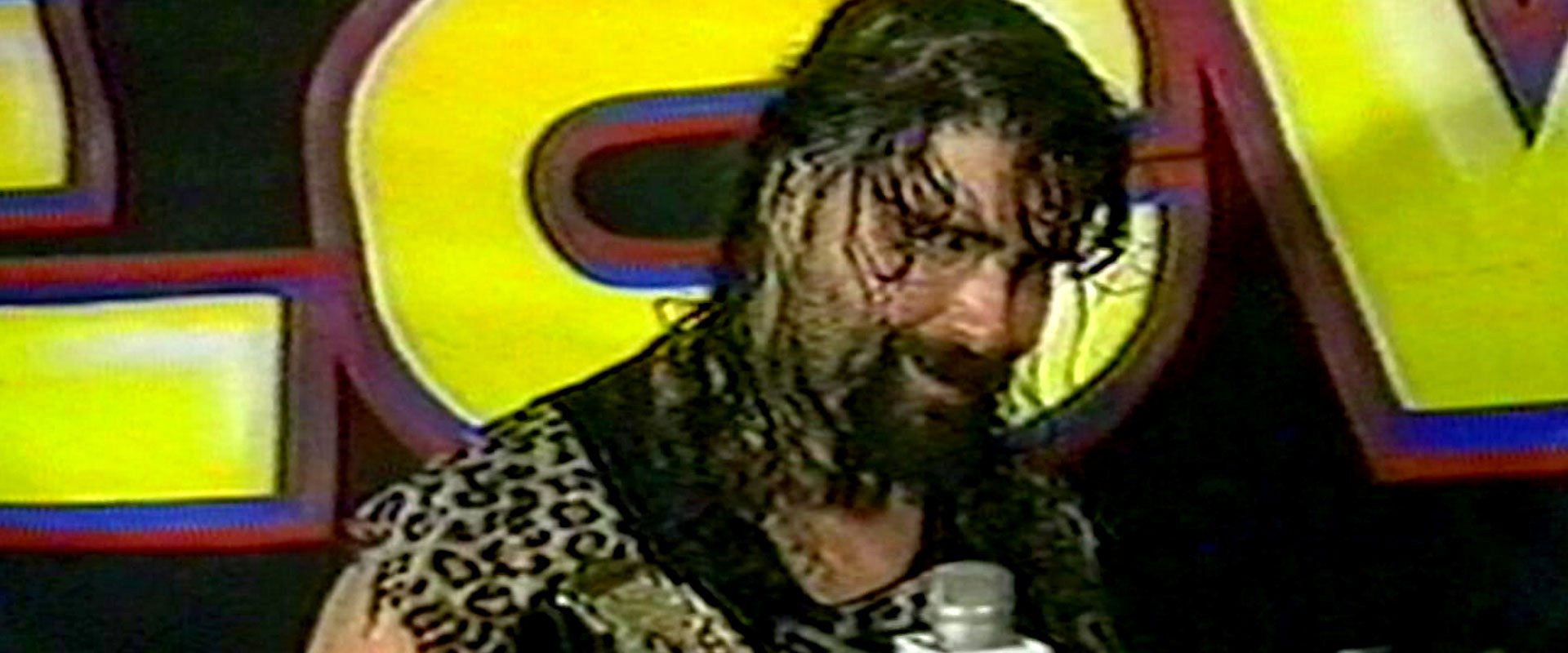 WWE: The Rise + Fall of ECW's banner image