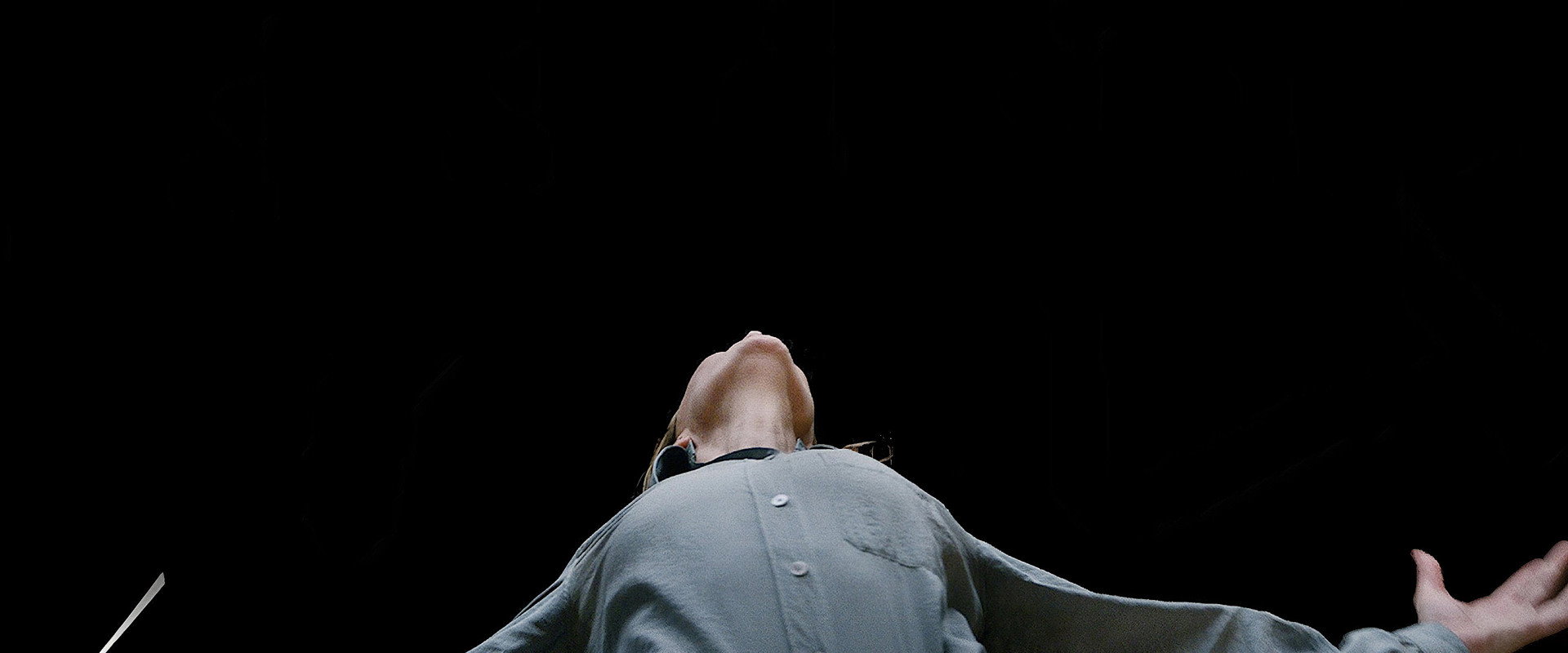 TÁR — imagen panoramica