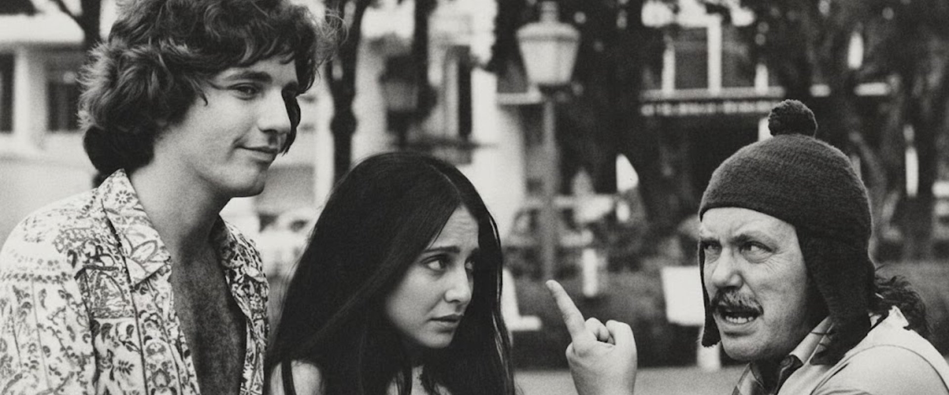 Camomila e Bem-Me-Quer