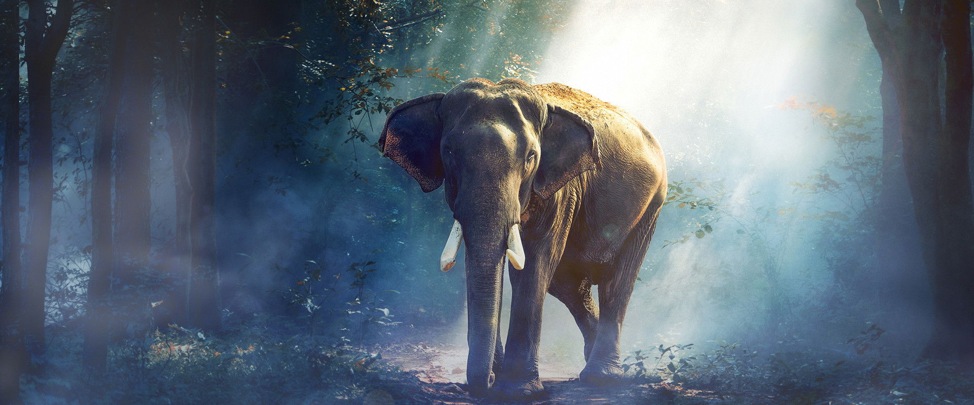 Equator's Wild Secrets