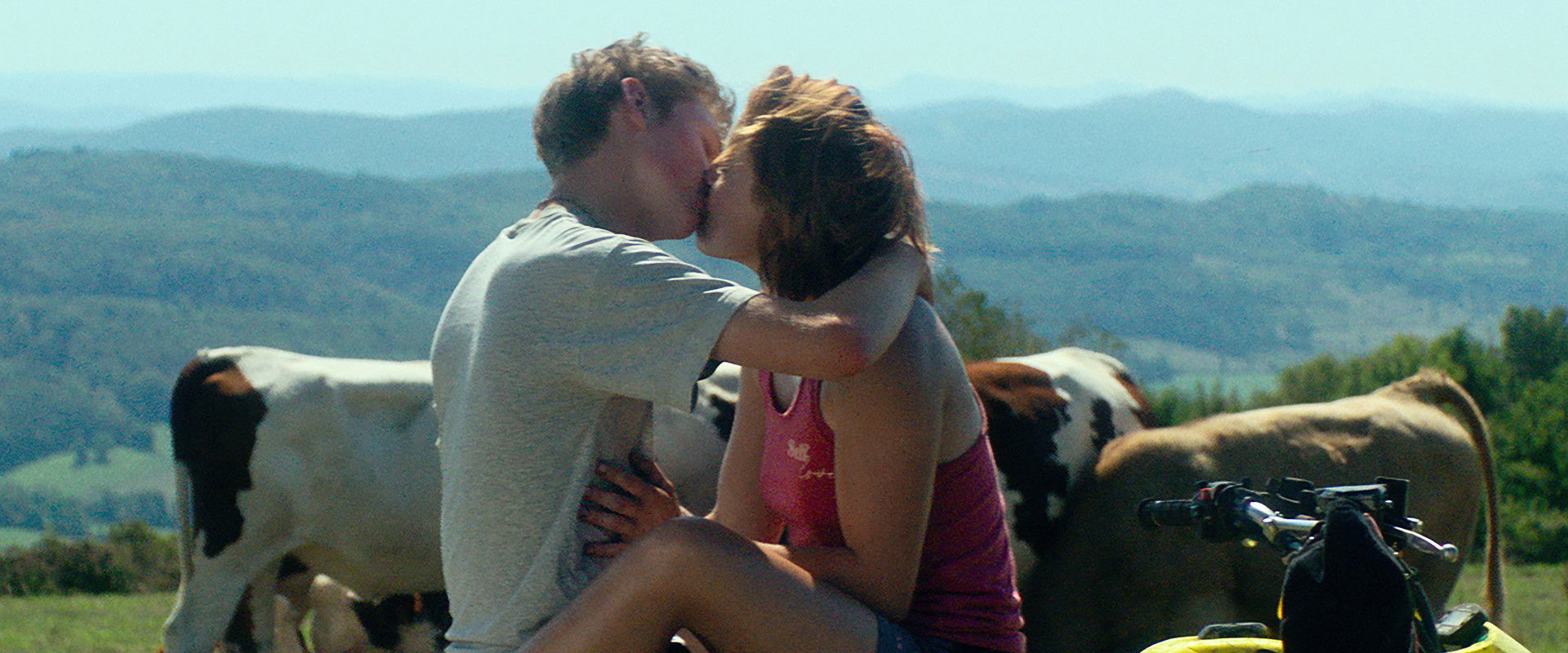 Holy Cow's banner image