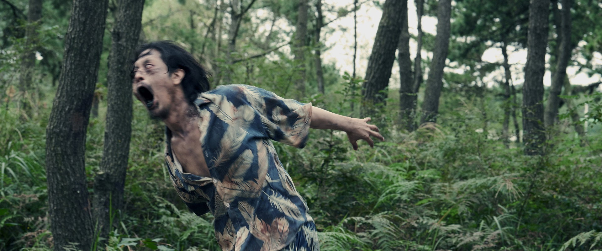 Z Island's banner image