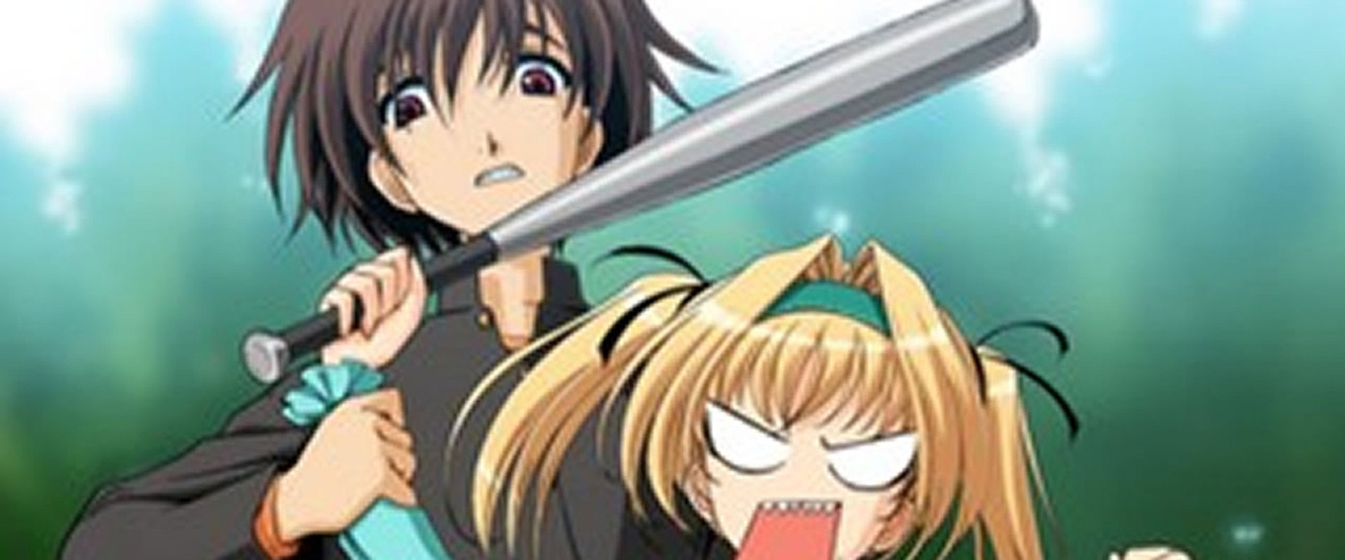 Maple Colors's banner image